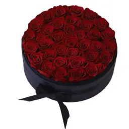 Lovers Box